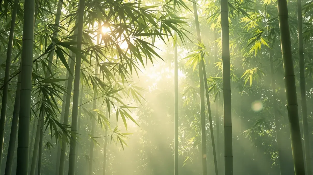 治愈系山野闲记 - 专题合集